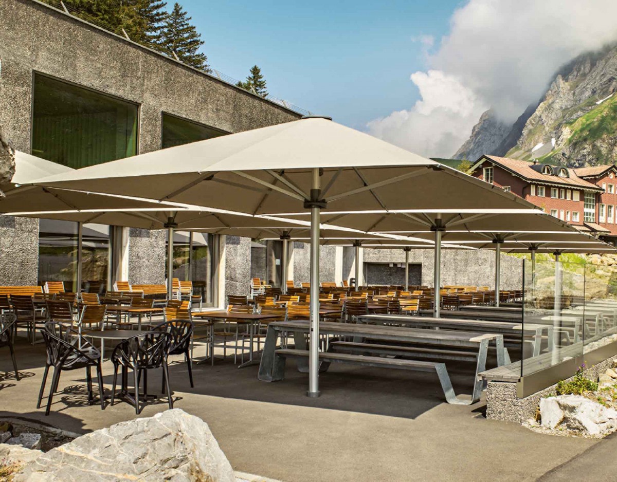 Afbeelding 316 Afbeelding 316