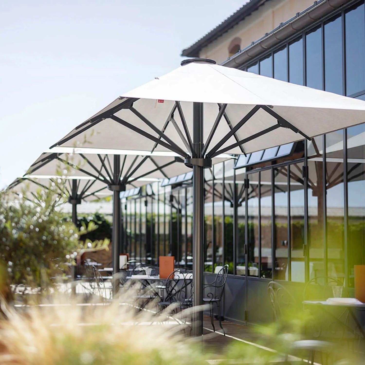 Afbeelding 331 Afbeelding 331