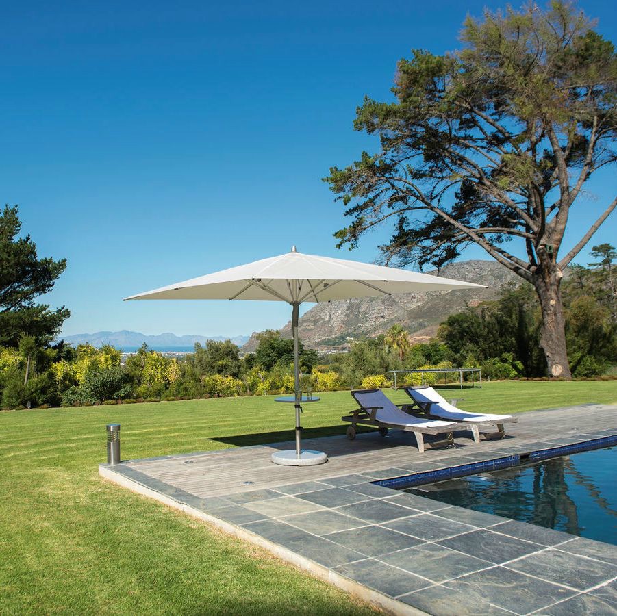 Afbeelding 355 Afbeelding 355